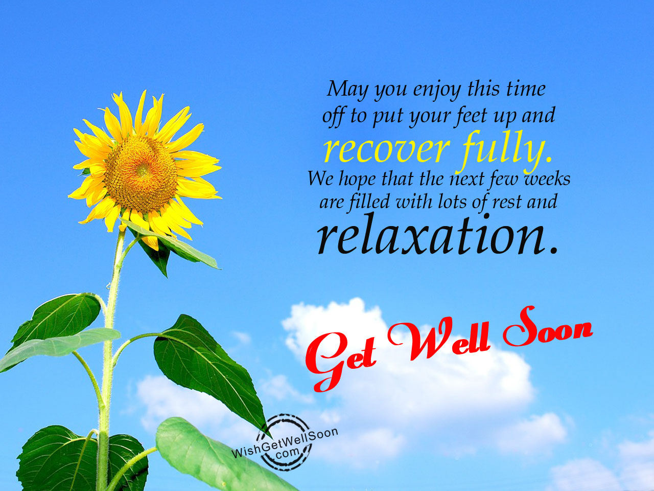 May You Enjoy get Well Soon