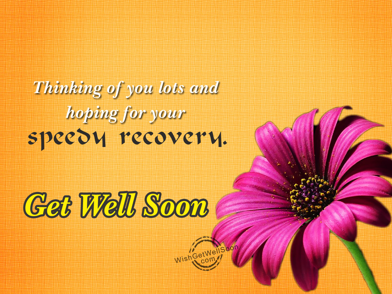 Hoping For You Speedy Recovery Get Well Soon Get Well Soon Wishes