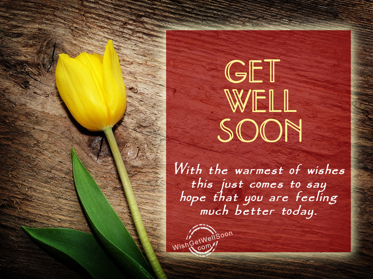 get-well-soon-wishes-pictures-images-page-3