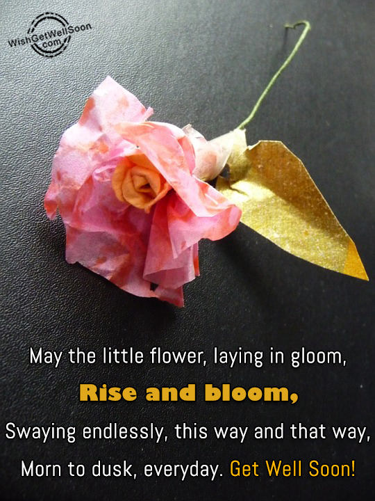 Rise And Bloom-gws64